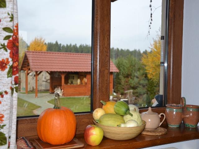 Zagajnik Holiday House Sucha Rzeczka Kültér fotó